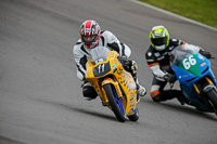 PJ-Motorsport-2019;anglesey-no-limits-trackday;anglesey-photographs;anglesey-trackday-photographs;enduro-digital-images;event-digital-images;eventdigitalimages;no-limits-trackdays;peter-wileman-photography;racing-digital-images;trac-mon;trackday-digital-images;trackday-photos;ty-croes
